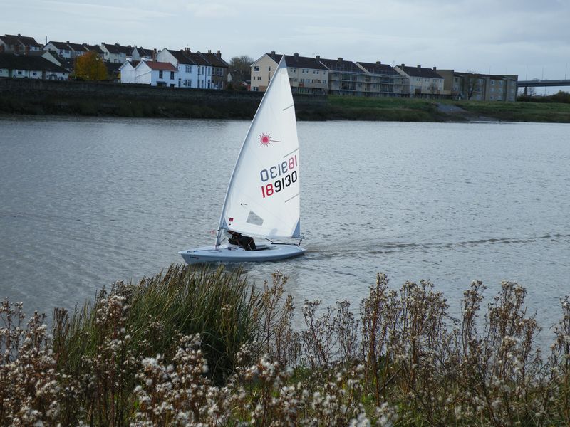 2008 November race